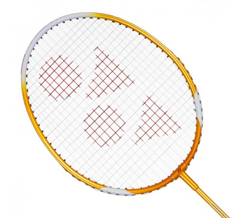 Набір для бадмінтону Yonex Fun